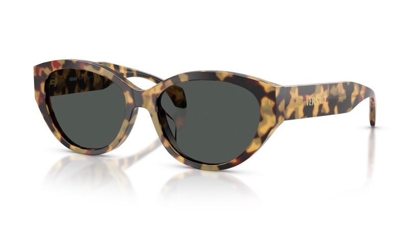 Versace 4495-D